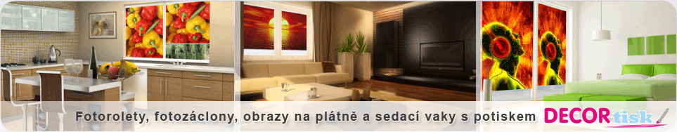 www.decortisk.cz www.decortisk.cz